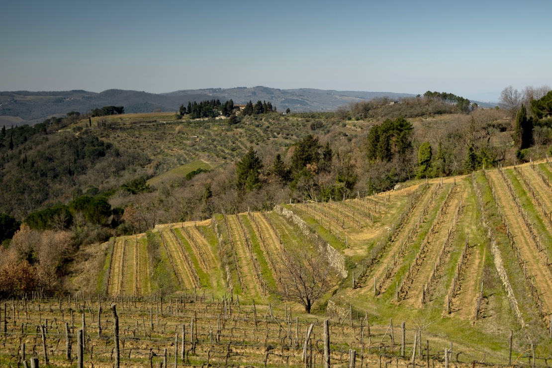 I terrazzamenti del vigneto di Lamole